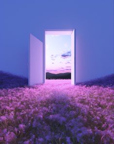 an open door in the middle of a field with purple flowers on it's sides