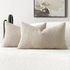 two pillows sitting on top of a couch next to a cacti plant in a living room