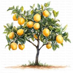 a watercolor painting of a lemon tree