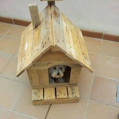 a dog in a wooden birdhouse on the ground with its head sticking out from it's hole