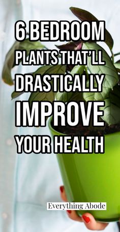 a person holding a potted plant with the words 6 bedroom plants that'll dramatically improve your health