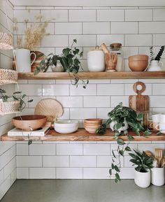 the shelves are filled with dishes and plants