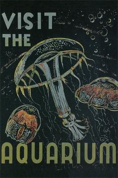 an advertisement for the aquarium, featuring jellyfish and other marine creatures in yellow frame