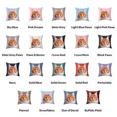 an orange and white cat sitting on top of pillows with different names in front of it