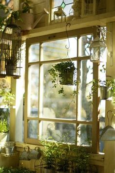 an open window with potted plants and birdcages hanging from it's sides