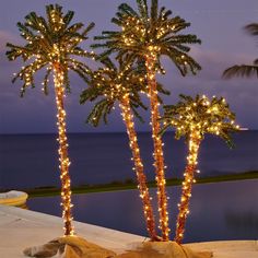 three palm trees with lights on them by the water