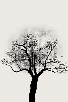 a black and white tree with no leaves on it's branches canvas art print