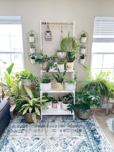 a living room filled with lots of plants