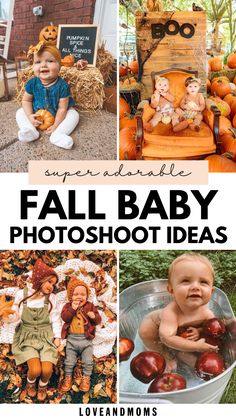 FAll Baby Fall Photoshoot, Photoshoot Diy, Fall Photoshoot Ideas, 6 Month Baby Picture Ideas, Baby Photoshoot Ideas, 1 Month Baby