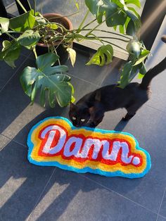 a black cat standing on top of a floor next to a sign that says dan