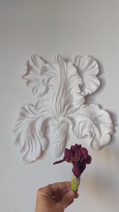 a hand holding a flower in front of a white wall