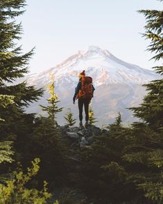 a person standing on top of a mountain looking at the snow capped peak in the distance