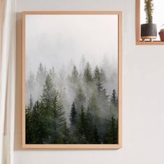 a forest scene with fog and trees framed in wooden frame on wall next to potted plant