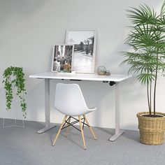 a white desk with a plant and pictures on it