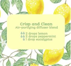 Air Purifying Diffuser Blend, Essential Oil Remedy, Lemon Essential Oil, Essential Oils Cleaning, Essential Oils Health, Oil Diffuser Recipes