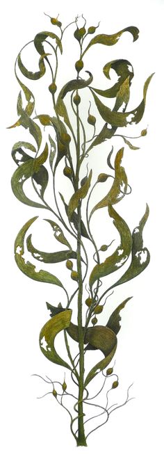 a tall metal plant with birds on it's head and leaves in the center