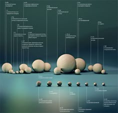 an image of a group of eggs on the ground with their names in english and spanish