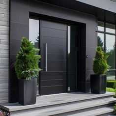 two large planters are on the steps in front of a modern door and entrance