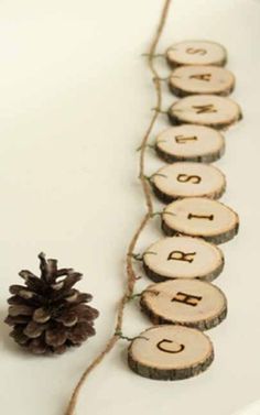 a pine cone sitting on top of a table next to some wood slices and string