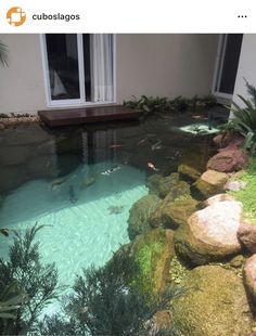 a small pond in the middle of a house with rocks and plants around it, next to a window