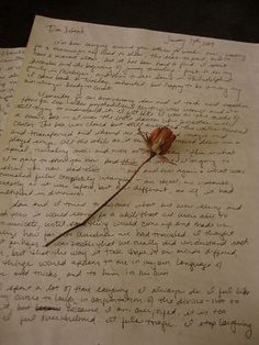 an old piece of paper with writing on it and a single rose sitting on top