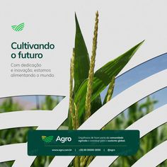 an advertisement for the agro plant is shown