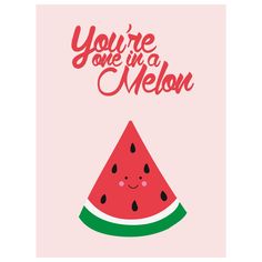 a piece of watermelon with the words you're one in a melon