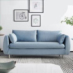 a blue couch sitting in a living room next to pictures on the wall above it