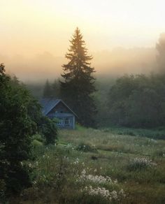 a house in the middle of a field surrounded by trees and bushes with fog on them