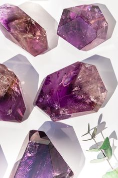 four amethysts are shown on a white surface