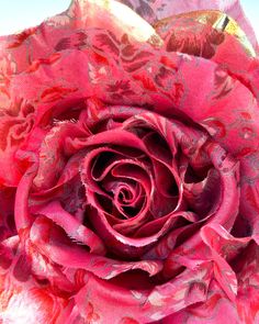 a large pink flower with lots of red petals