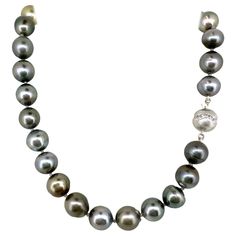 We bought these gorgeous, genuine Tahitian pearls at a trade show in 2023. These are slightly graduated (11mm to just under 12mm) lustrous, multi-colored off-round baroques, mostly silver, but there's some browns, plus one lovely golden center pearl and a couple of pistachios. While these pearls show some characteristic natural flaws (pitting and circles), they're the kinds of flaws that we like -- they highlight the natural diversity of these amazing organic gems -- as opposed to the kinds of f Diamond Ball, Pearl Strands, Tahitian Pearls, Gold Pearl, Tahiti, Trade Show, White Gold Diamonds, Pearl White, Long Necklace