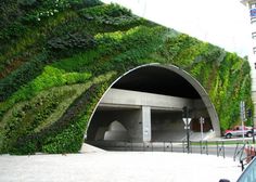 a car driving past a tunnel covered in green plants