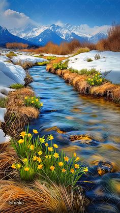 a painting of snow covered mountains and water with yellow flowers in the foreground,