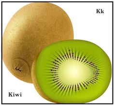 a kiwi fruit cut in half and sitting next to it's shell