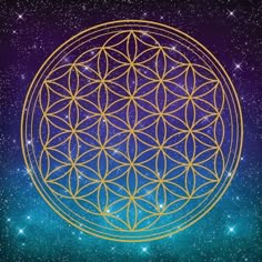 the flower of life surrounded by stars