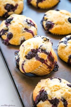 freshly baked blueberry muffins sitting on a baking tray ready to be eaten