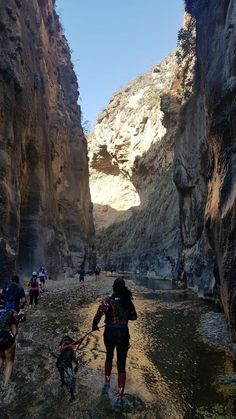 a group of people walking through a canyon next to a dog on the side of a river