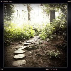 a path made out of stepping stones in the woods