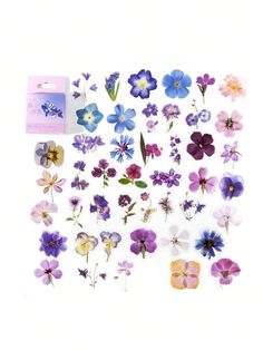 an assortment of purple and blue flowers on a white background