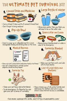 Dog Survival Kit, How To Pet A Dog, Survival Life Hacks Emergency Kits, Home Survival Kit, Survival Kit Ideas, Pet Emergency Kit, Dog Life Hacks, Zombie Survival Kit, Zombie Life