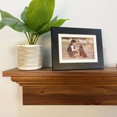 a potted plant sitting on top of a wooden shelf next to a framed photo