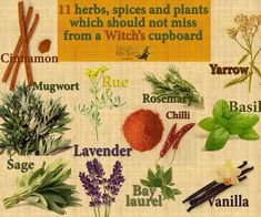 an image of herbs that are labeled in different colors and sizes on a piece of paper