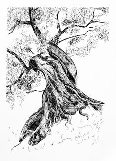 a black and white drawing of a tree with its branches twisted up in the wind