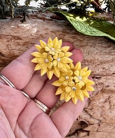 Vintage CORO Yellow Daisy Earrings Retro Plastic Floral Clip On Earrings 1950 1960 Bride Flower Rhinestone Earrings MCM Bridal Spring Easter More lovelies from my personal collection, you will love these vintage daffodil yellow clip on earrings.  The flowers are yellow thermoset with clear rhinestone centers.  These earrings measure 1 1/2" in diameter.  In wonderful vintage condition, clips remain snug. Stamped Coro on the back of the year clips. So pretty, these are lovely for summer and fall! Retro Yellow Flower Jewelry, Yellow Flower-shaped Retro Jewelry, Retro Yellow Flower-shaped Jewelry, Vintage Clip-on Flower Earrings, Vintage Flower Shaped Clip-on Earrings, Vintage Yellow Flower Earrings, Vintage Flower-shaped Earrings For Anniversary, Vintage Flower Shaped Earrings For Anniversary, Vintage Flower Earrings For Anniversary