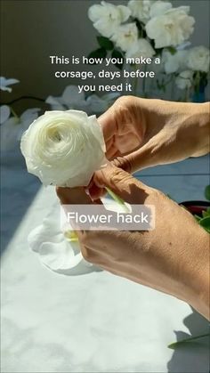 someone is holding a white flower in their hand with the caption, this is how you make a corpse, days before you need it