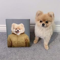 two small dogs standing next to each other in front of a painting on the wall