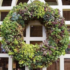 a wreath made out of plants is hanging on the side of a building in front of a window