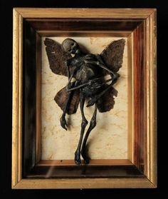 a skeleton in a wooden frame with wings