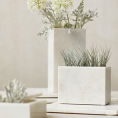 two white square vases with plants in them on a counter top next to each other